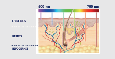 imagen post blog veterinaria Pozoblanco Phovia: última innovación en dermatología